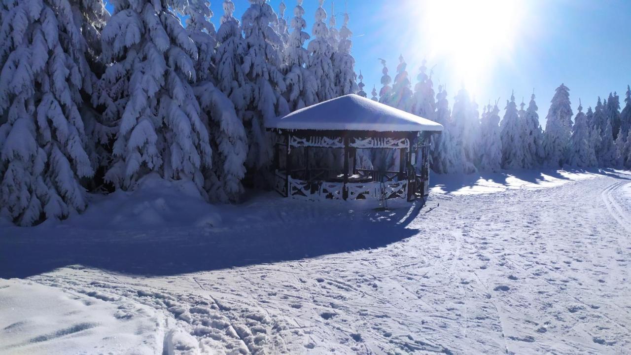 Chata Helena Loučná pod Klínovcem Exterior foto